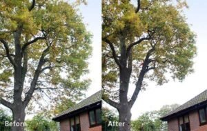 Crown Reduction