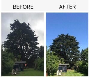 Crown Reduction
