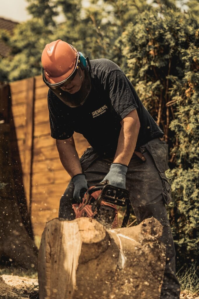 Tree Surgeons Portsmouth